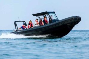 8601606 20221118134740233 1 LARGE